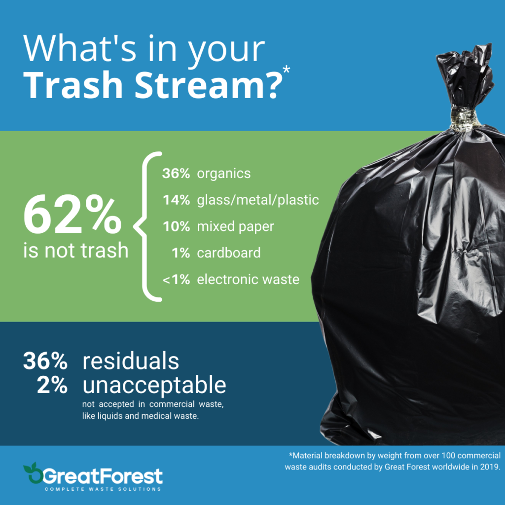 Great Forest conducted over 100 waste audits globally for the largest study of commercial waste undertaken to date. 