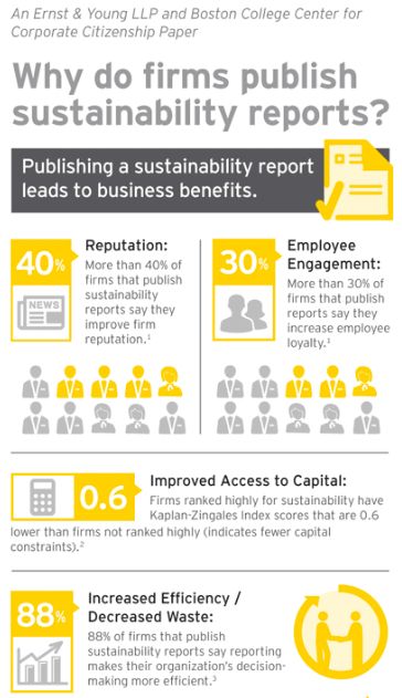 EY Sustainability Infographic