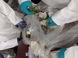 Great Forest is a leader in commercial waste audits.